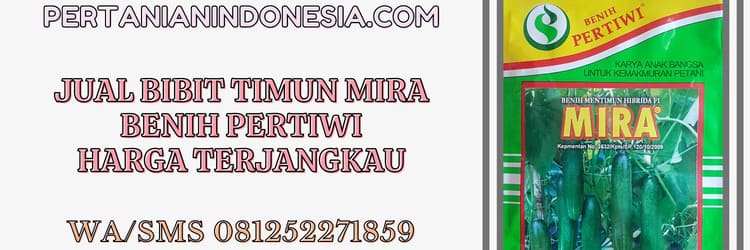 jual,bibit,timun mira,jual bibit timun mira,benih pertiwi,murah